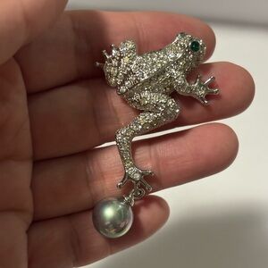 Silver Frog  brooch
